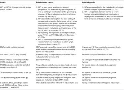 Hypoxia in Breast Cancer—Scientific Translation to Therapeutic and Diagnostic Clinical Applications